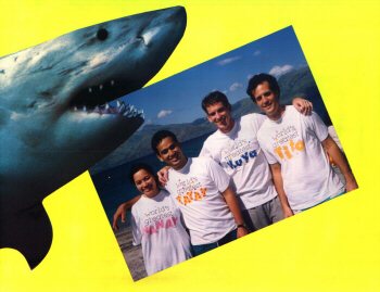 shark.jpg (74961 bytes)