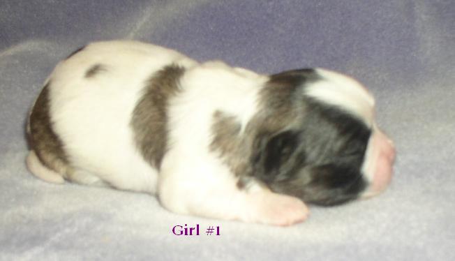 Girl 1
