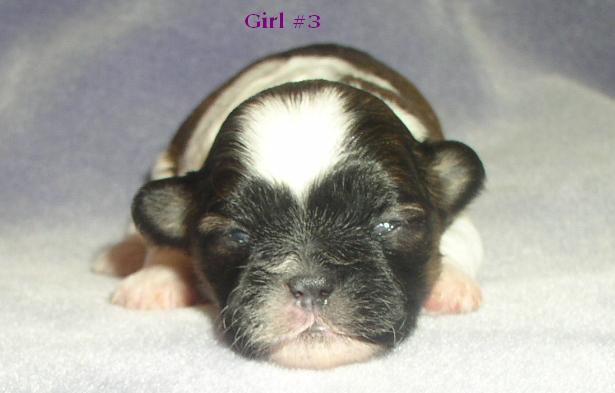 Girl 3