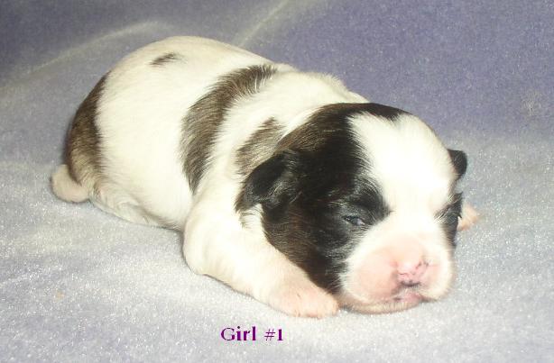 Girl 1