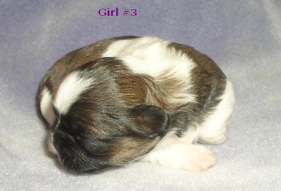 Girl 3