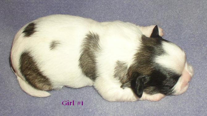 Girl 1