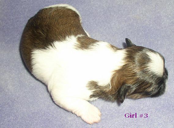 Girl 3