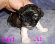 Girl A1