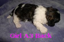 Girl A3