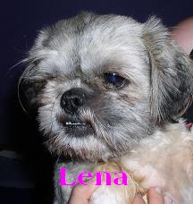 Lena