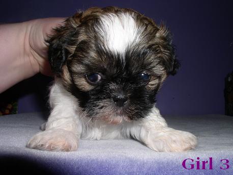 girl 3