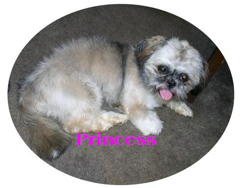 Princess