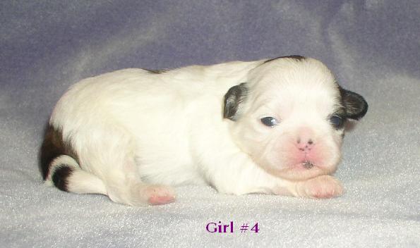 Girl 4