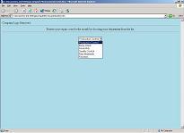 web1.JPG