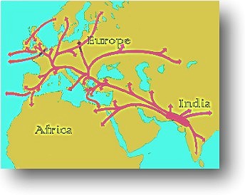 Map of migration routes from India to Asia, Africa and Europe.