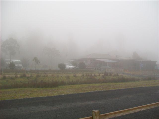 006.JPG