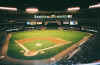 busch2.jpg (72259 bytes)