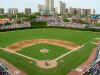 cubs.jpg (127278 bytes)