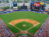 mets.jpg (196284 bytes)