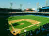 tigers1.jpg (118807 bytes)