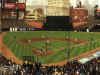 tigers3.jpg (138437 bytes)