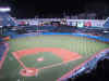 yankee1.jpg (76016 bytes)