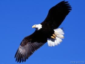 Pray that our nation will come back to God so we can keep this freedom.