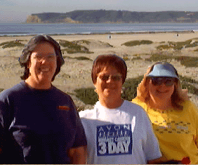 Three Walkers
