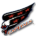Washington Capitals