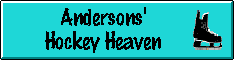 Andersons' Hockey Heaven home