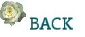 back-set20.gif (2522 bytes)