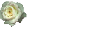 blank-set20.gif (2011 bytes)