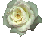 tinyrose.gif (1968 bytes)