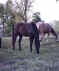 Dakota(TWH)