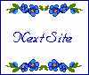 Next Site