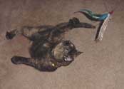 c_attack3_th.jpg (8708 bytes)