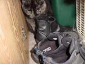 c_hallcloset_th.jpg (12161 bytes)