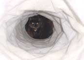 c_tunnel_th.jpg (8695 bytes)