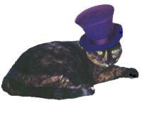cocohat.jpg (5205 bytes)