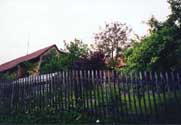 cz8_th.jpg (11449 bytes)