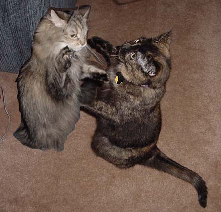 dancing.jpg (38347 bytes)