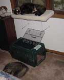 girls_bedroom1_th.jpg (10345 bytes)