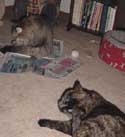 girls_rest2_th.jpg (10715 bytes)