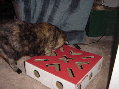 m_anim.gif (233897 bytes)
