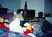 r_bed_th.jpg (13028 bytes)
