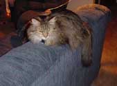 r_couchsprawl1_th.jpg (9820 bytes)
