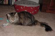 r_floor3_th.jpg (10058 bytes)