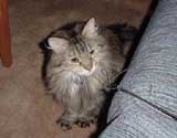 r_plays4_th.jpg (10697 bytes)