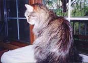 r_profile_th.jpg (13129 bytes)