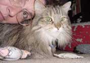 r_snuggles1_th.jpg (11983 bytes)