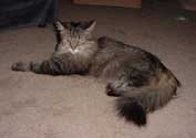 r_sprawl_th.jpg (8678 bytes)