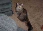 r_whazzup_th.jpg (9610 bytes)