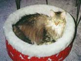 ralbed_th.jpg (12814 bytes)