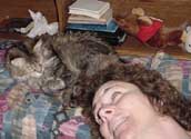 rp_nap1_th.jpg (12886 bytes)